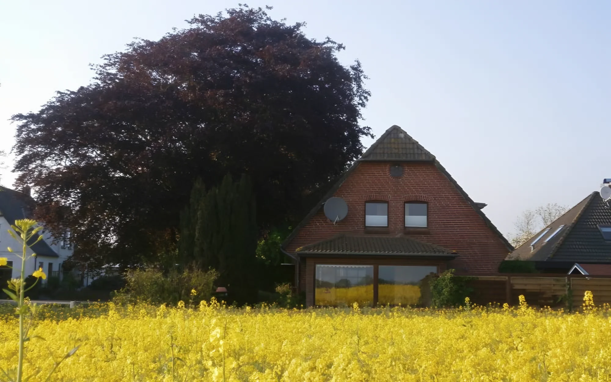 Buchenblick – Haus: Das Haus von außen